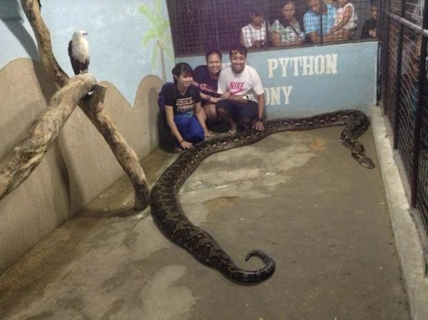 155688_560606137294838_863654103_n