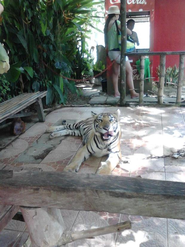 18012_10151388005828302_773600615_n