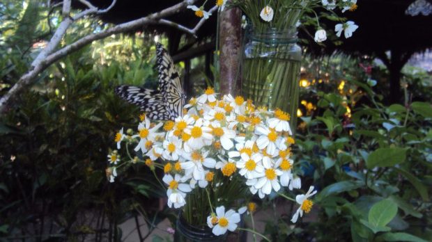 64134_10151388024438302_1500503940_n